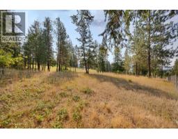 Lot A Wyatt Road, Spallumcheen, BC V4Y0M5 Photo 9