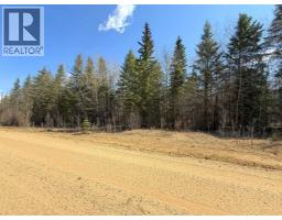 Lot 1 Part Of Nw-33-65-22-w4, Rural Athabasca County, AB T9S2A5 Photo 7