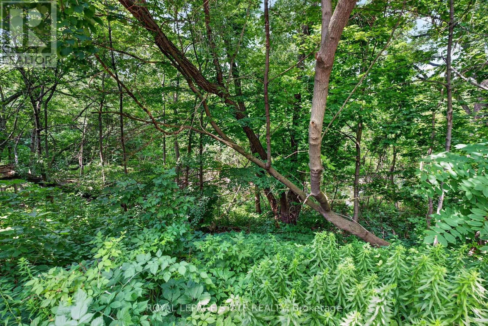 #203 966 QUEENSTON ROAD - 32