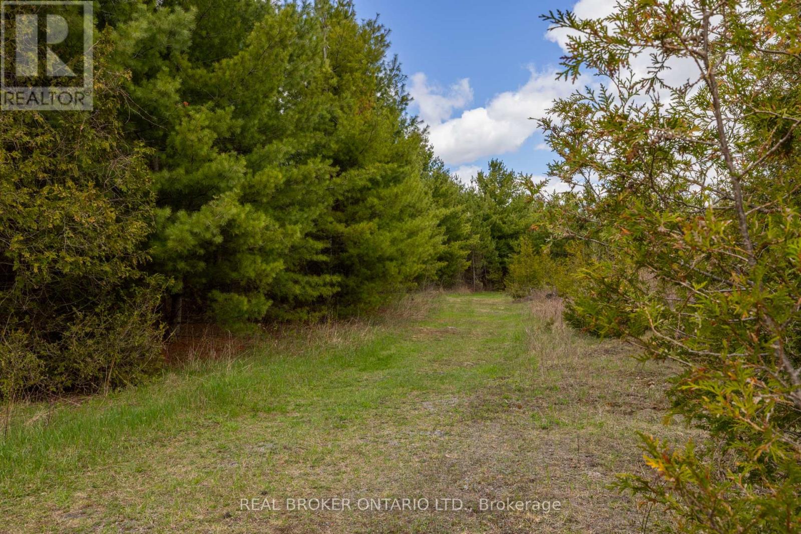Land for Sale in Ottawa – 3115 PADEN ROAD, Ottawa – MLS# X13604056 - Image 25