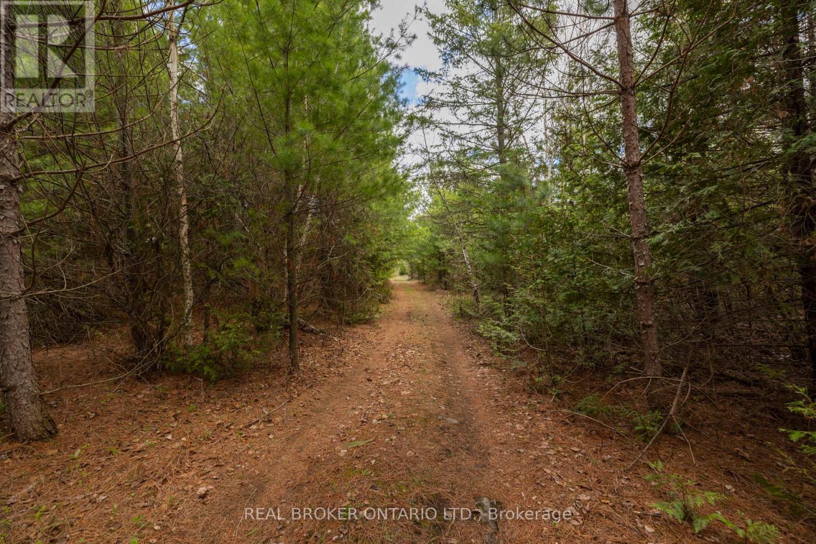 Land for Sale in Ottawa – 3115 PADEN ROAD, Ottawa – MLS# X13604056 - Image 31