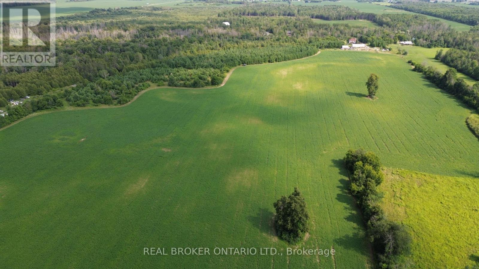 Land for Sale in Ottawa – 3115 PADEN ROAD, Ottawa – MLS# X13604056 - Image 3