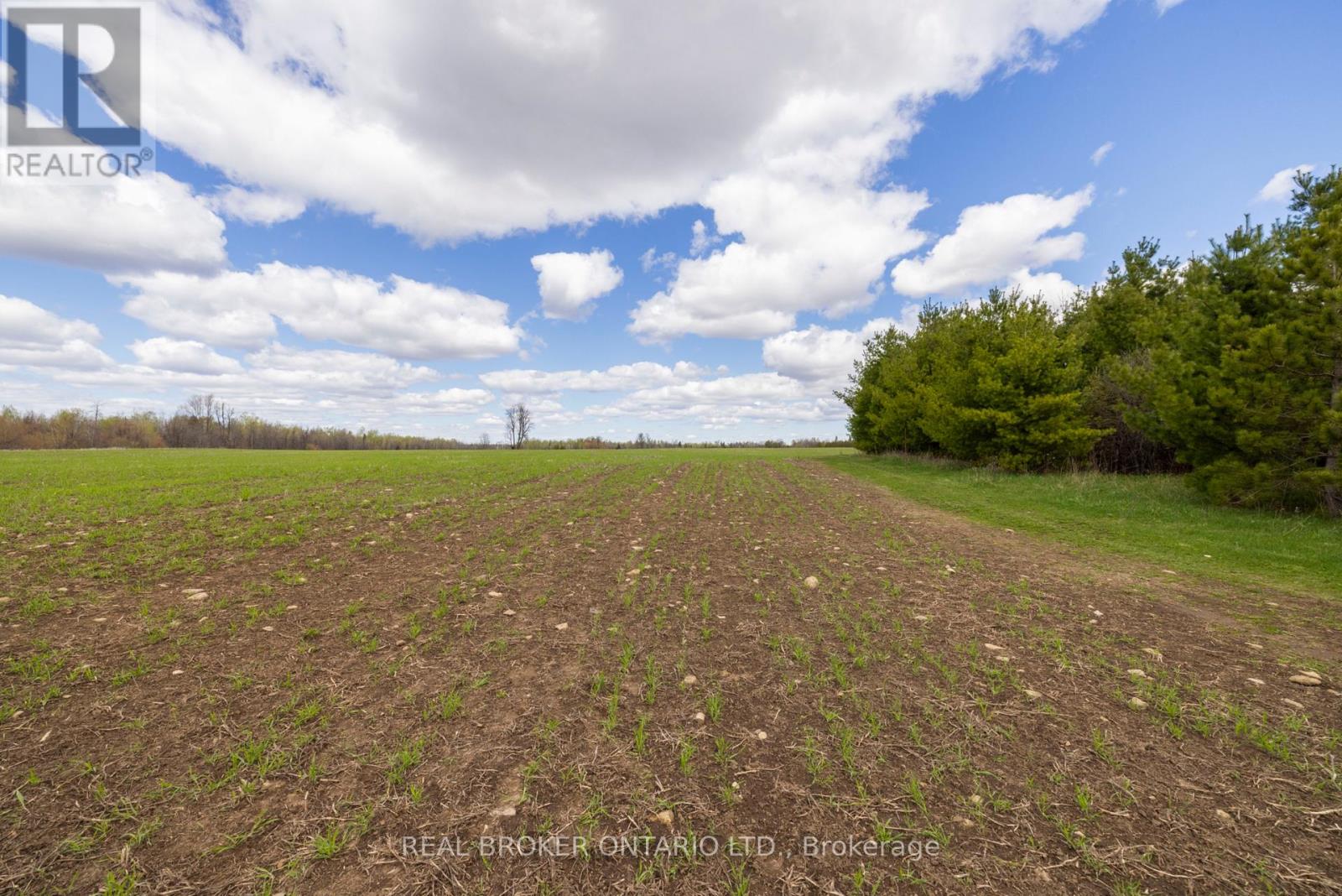 Land for Sale in Ottawa – 3115 PADEN ROAD, Ottawa – MLS# X13604056 - Image 53