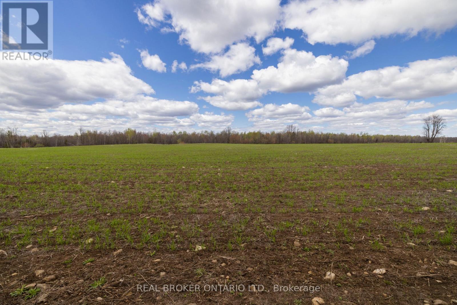 Land for Sale in Ottawa – 3115 PADEN ROAD, Ottawa – MLS# X13604056 - Image 57