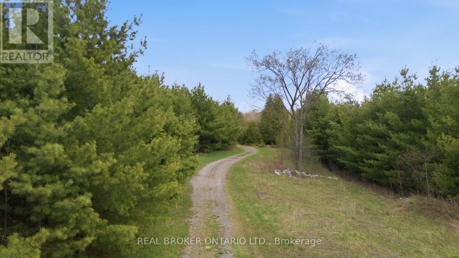 Land for Sale in Ottawa – 3115 PADEN ROAD, Ottawa – MLS# X13604056 - Image 17