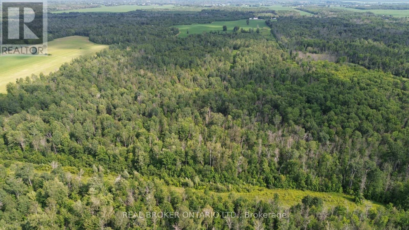 Land for Sale in Ottawa – 3115 PADEN ROAD, Ottawa – MLS# X13604056 - Image 7