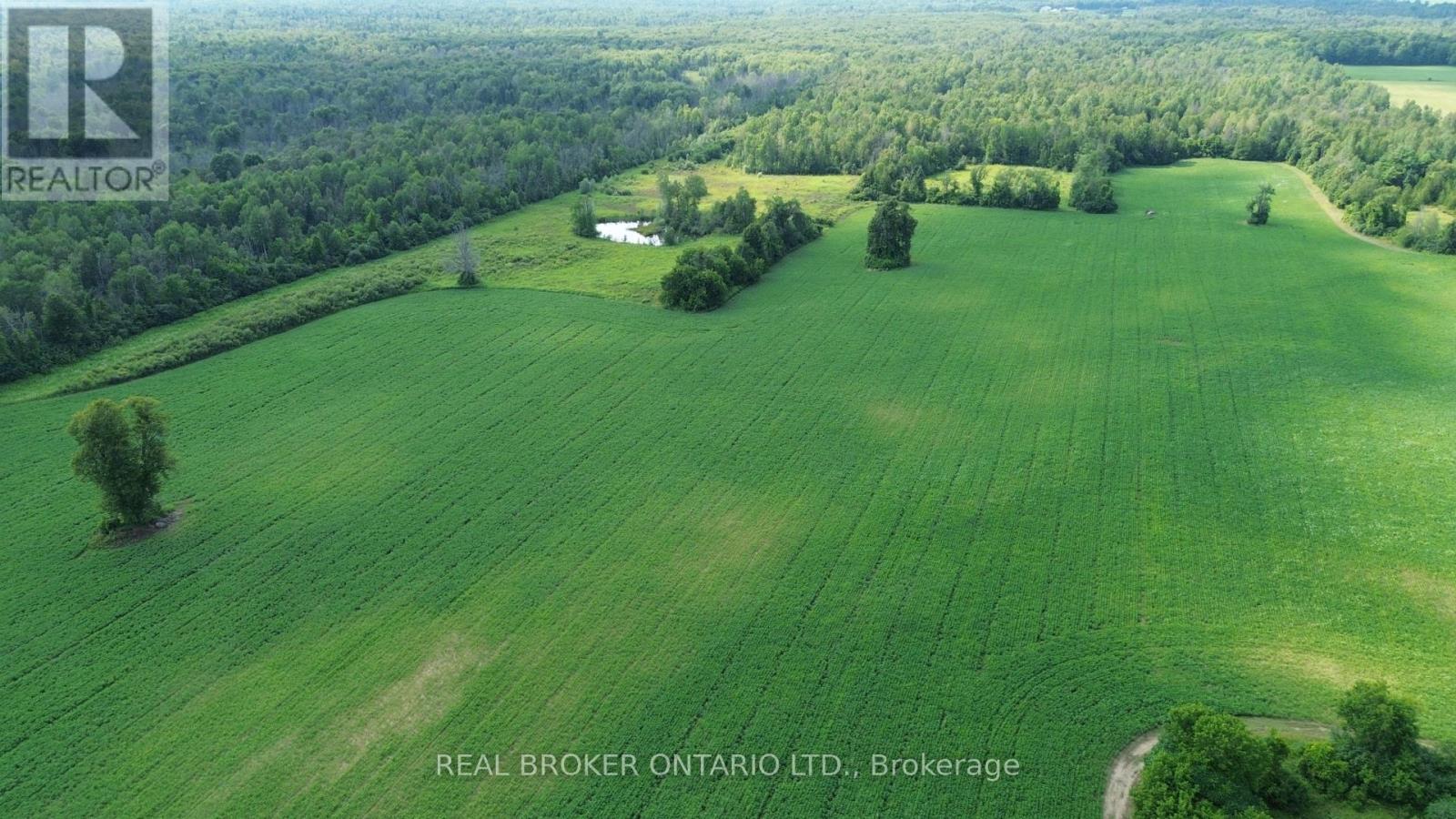 Land for Sale in Ottawa – 3115 PADEN ROAD, Ottawa – MLS# X13604056 - Image 13