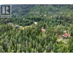 4940 Fletcher Creek Road, Kaslo, BC V0G1M0 Photo 21
