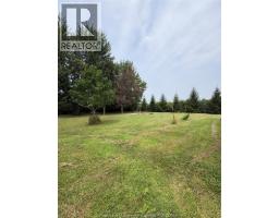 949 East West Rd, Pelee Island, ON N0R1M0 Photo 41