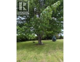 949 East West Rd, Pelee Island, ON N0R1M0 Photo 40