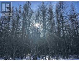Whycocomagh-port Hood Road, Southwest Mabou, NS B0E1X0 Photo 17