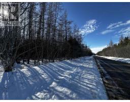 Lot 4b Whycocomagh-port Hood Road, Southwest Mabou, NS B0E1X0 Photo 19