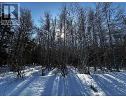Lot 4e Whycocomagh-port Hood Road, Southwest Mabou, NS B0E1X0 Photo 20