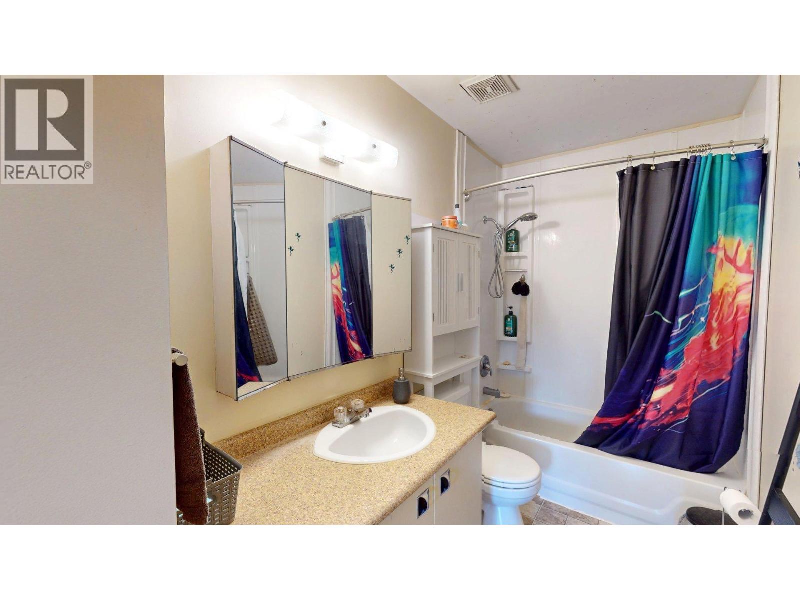 1323 ALPINE Drive - 19