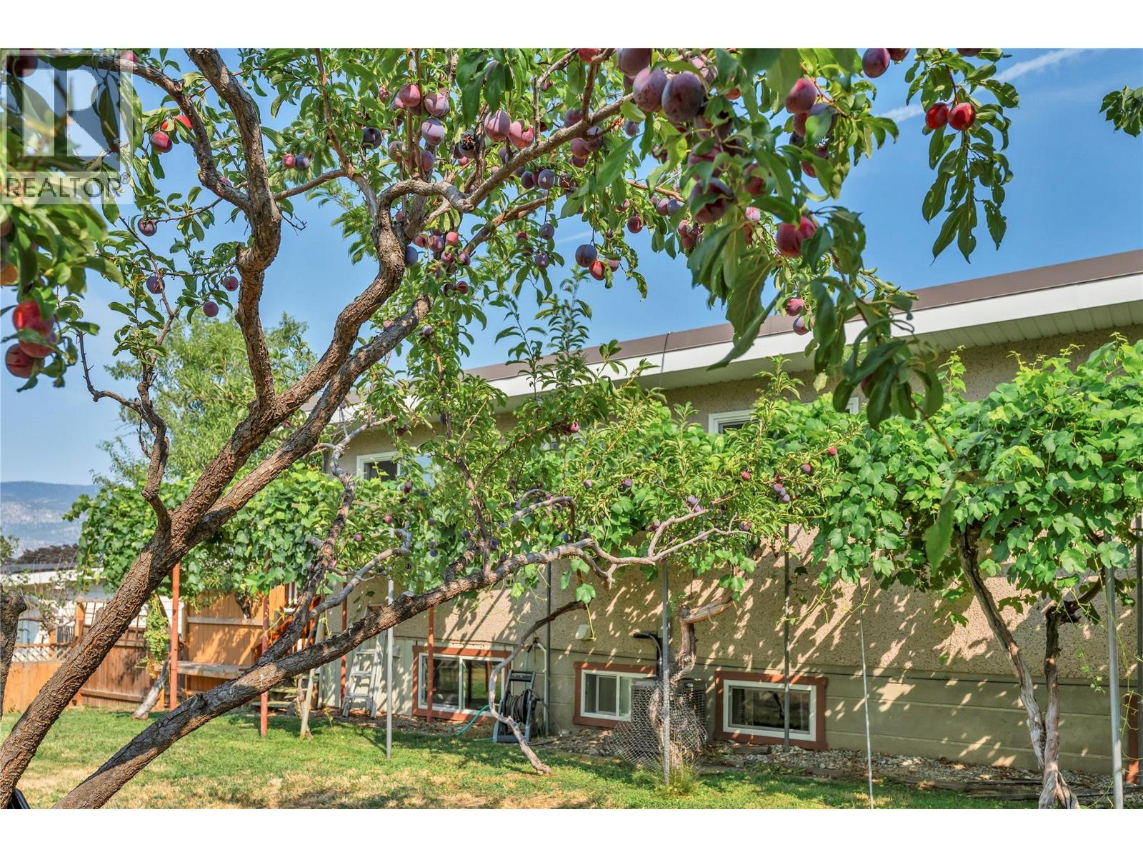804 ROSS Avenue - 39