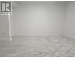 Lower - 115 Chesley Street, Hamilton, ON L9C3V9 Photo 14