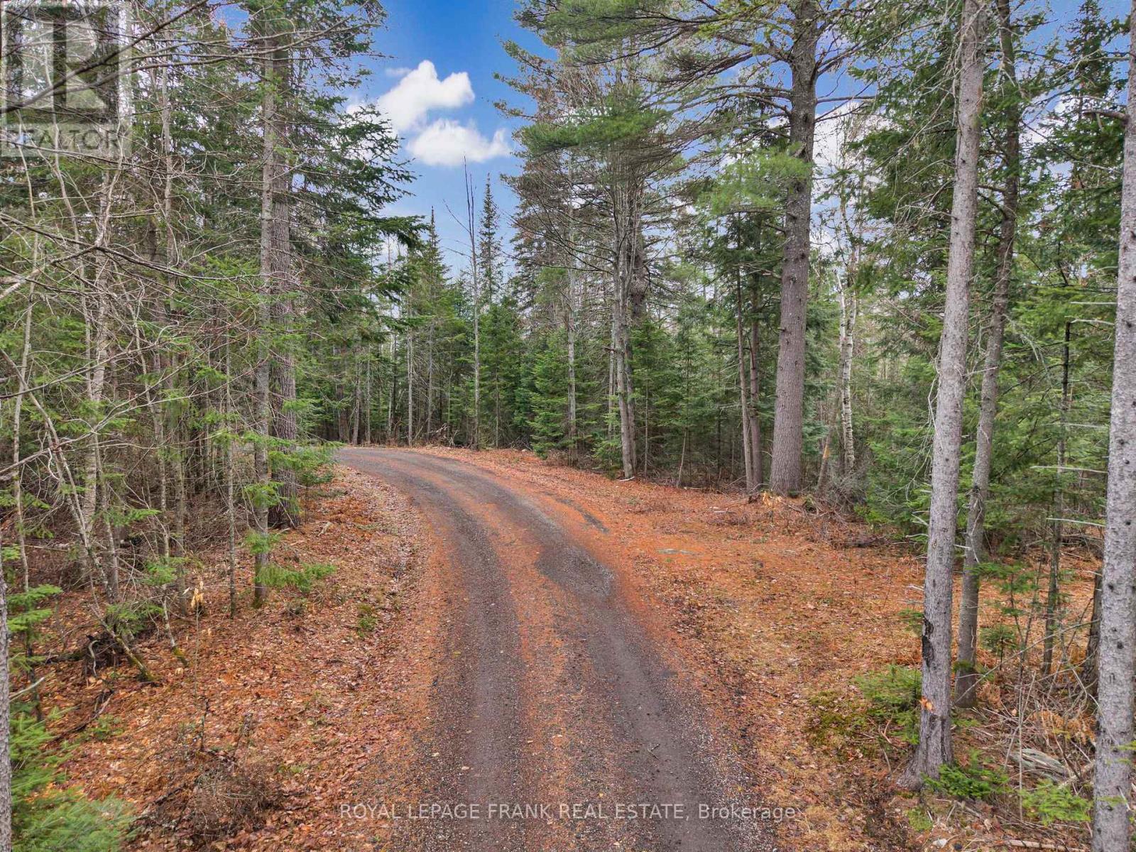 989 NORTH MCKENZIE LAKE ROAD - 39
