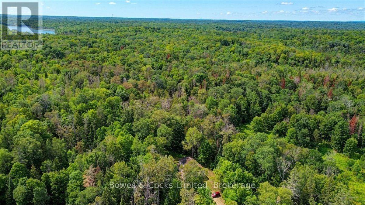 3196 OLD HASTINGS ROAD - 42