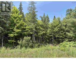 1629 West Side Middle River, Middle River, NS B0E1B0 Photo 10