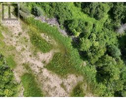 1629 West Side Middle River, Middle River, NS B0E1B0 Photo 14