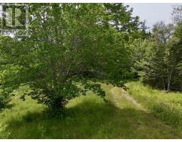 1629 West Side Middle River, Middle River, NS B0E1B0 Photo 25