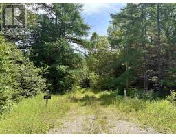 1629 West Side Middle River, Middle River, NS B0E1B0 Photo 30