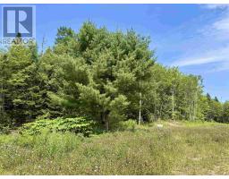 1629 West Side Middle River, Middle River, NS B0E1B0 Photo 9