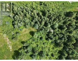 1629 West Side Middle River, Middle River, NS B0E1B0 Photo 15