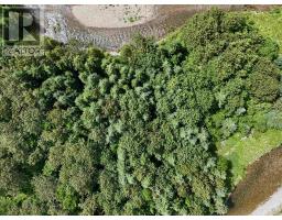 1629 West Side Middle River, Middle River, NS B0E1B0 Photo 17