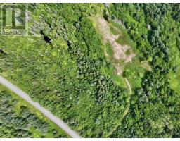 1629 West Side Middle River, Middle River, NS B0E1B0 Photo 22