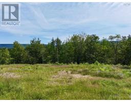 1629 West Side Middle River, Middle River, NS B0E1B0 Photo 24