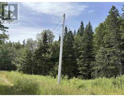 1629 West Side Middle River, Middle River, NS B0E1B0 Photo 7