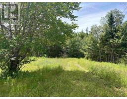 1629 West Side Middle River, Middle River, NS B0E1B0 Photo 8