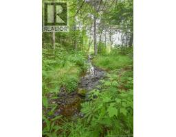 Lot Du Parc Street, Paquetville, NB E8R1J5 Photo 8