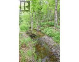 Lot Du Parc Street, Paquetville, NB E8R1J5 Photo 7