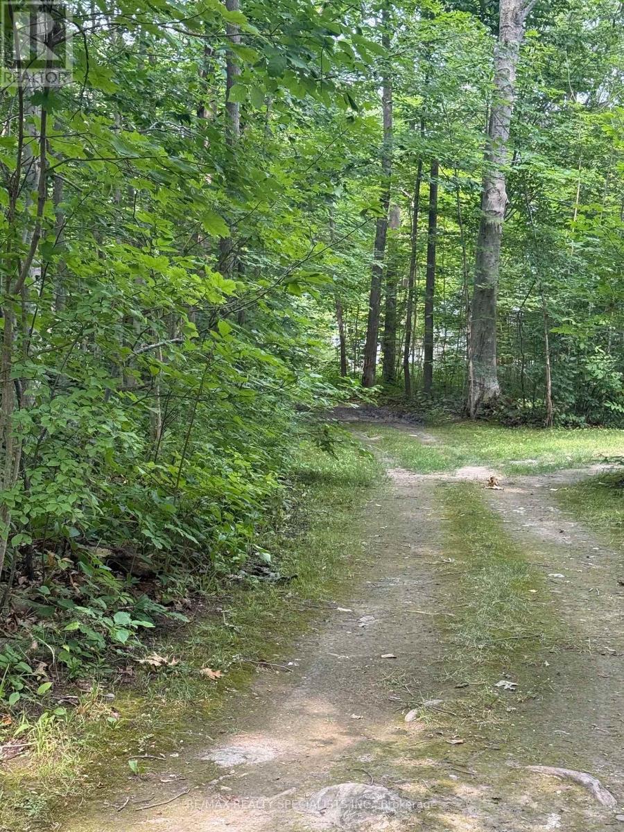 LOT 44 SNAKE ISLAND - 46