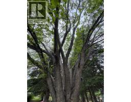 35005 Range Road 15, Rural Red Deer County, AB T4G0J4 Photo 15