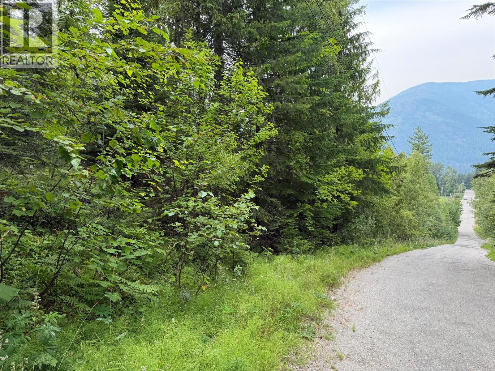  Choquette Avenue, Nelson