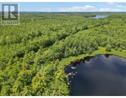 Lot 1 Highway 8, South Brookfield, NS B0T1X0 Photo 13