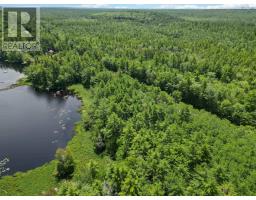 Lot 1 Highway 8, South Brookfield, NS B0T1X0 Photo 12