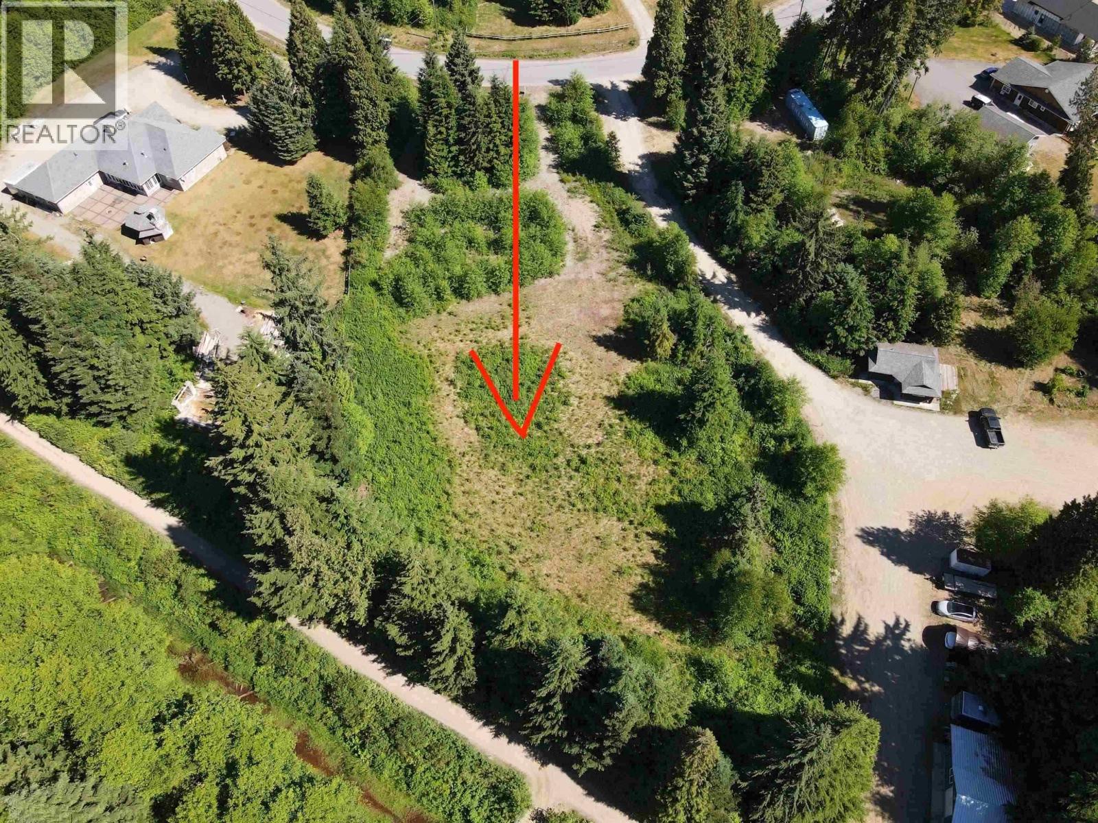 49 BLUEBERRY AVENUE