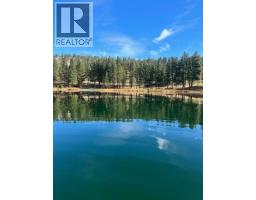 459 Huey Road Unit# 9, Princeton, BC V0X1W0 Photo 15
