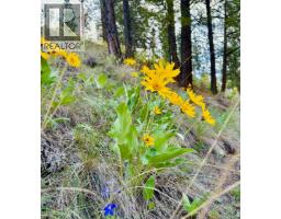 459 Huey Road Unit# 9, Princeton, BC V0X1W0 Photo 14