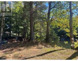 28 Baker Lane, Kawartha Lakes, ON M4M1S2 Photo 12