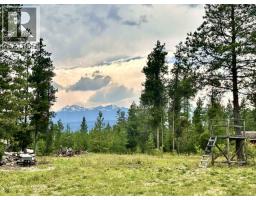 2725 Tamarack Road, Valemount, BC V0E2Z0 Photo 21
