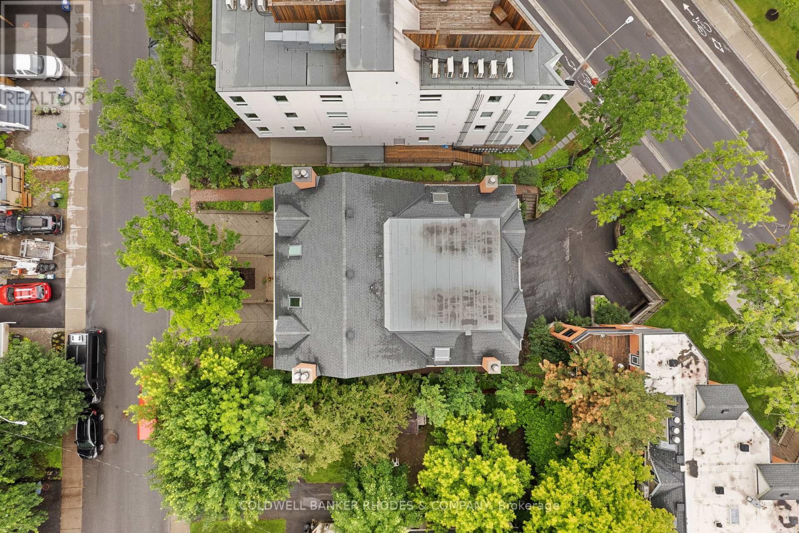 #1 59 HAVELOCK STREET - 36