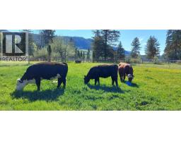59 Beaven Road, Cherryville, BC V0E2G3 Photo 52
