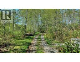 1017 Oliview Dr, Hyde Creek, BC V0N2R0 Photo 6