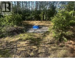 1017 Oliview Dr, Hyde Creek, BC V0N2R0 Photo 13