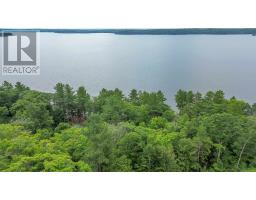 219 Demonye Ave, Iron Bridge, ON P0R1H0 Photo 9